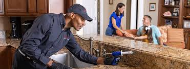 Best Termite Inspection and Treatment  in West Long Branch, NJ